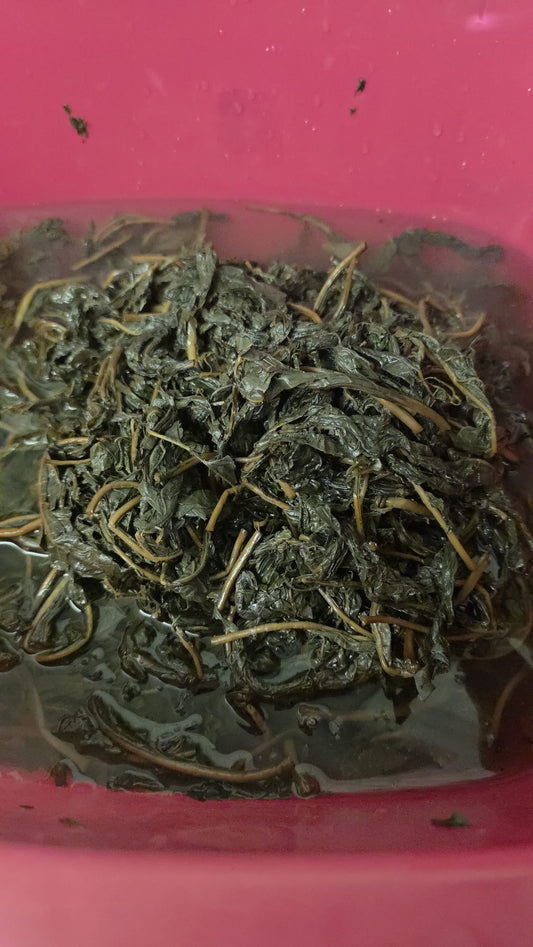 Fresh bitter leaf