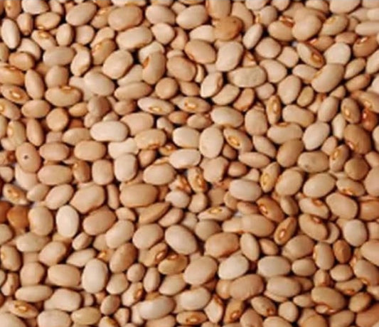 Brown Honey Beans