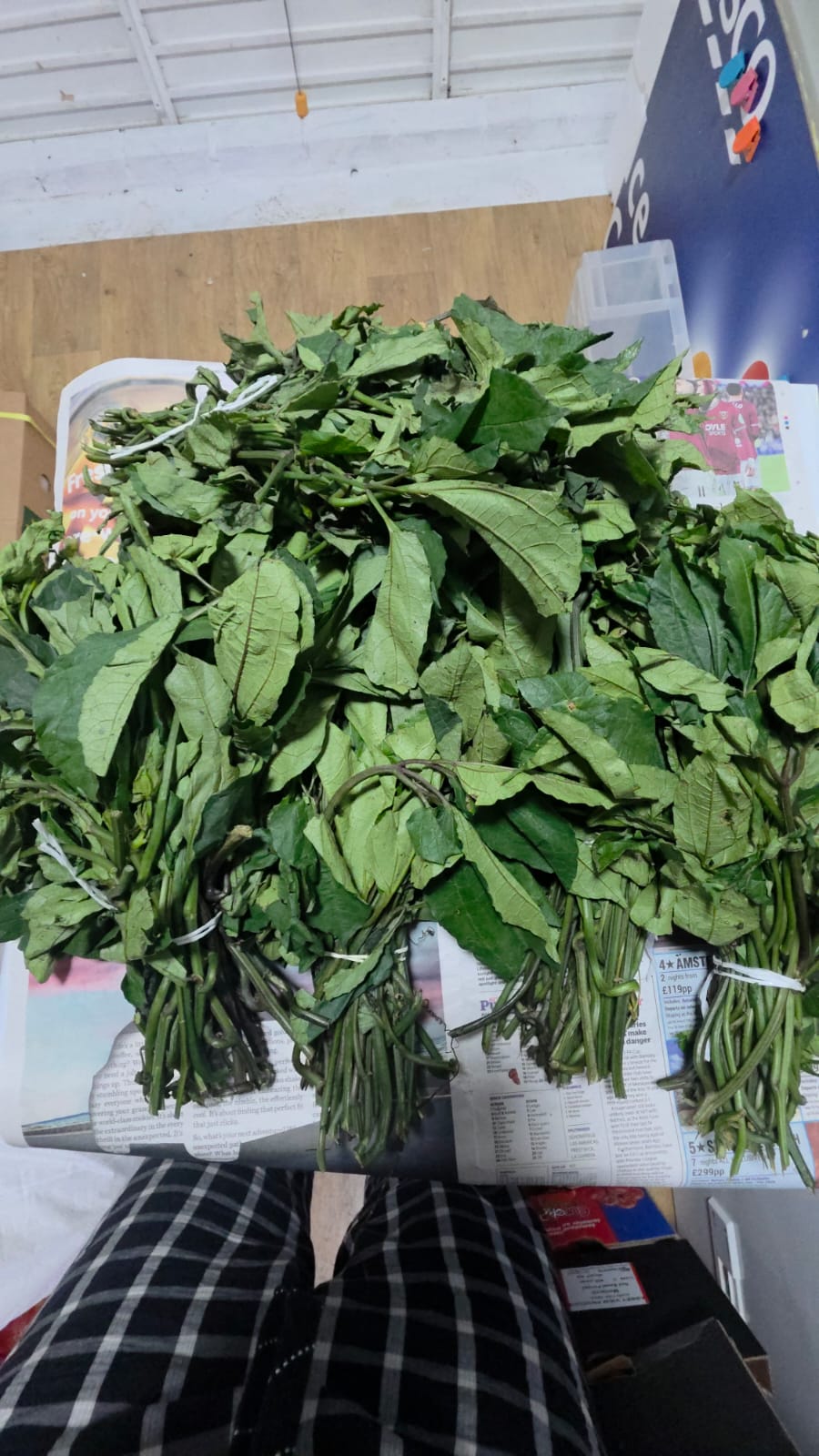 Fresh Ugu