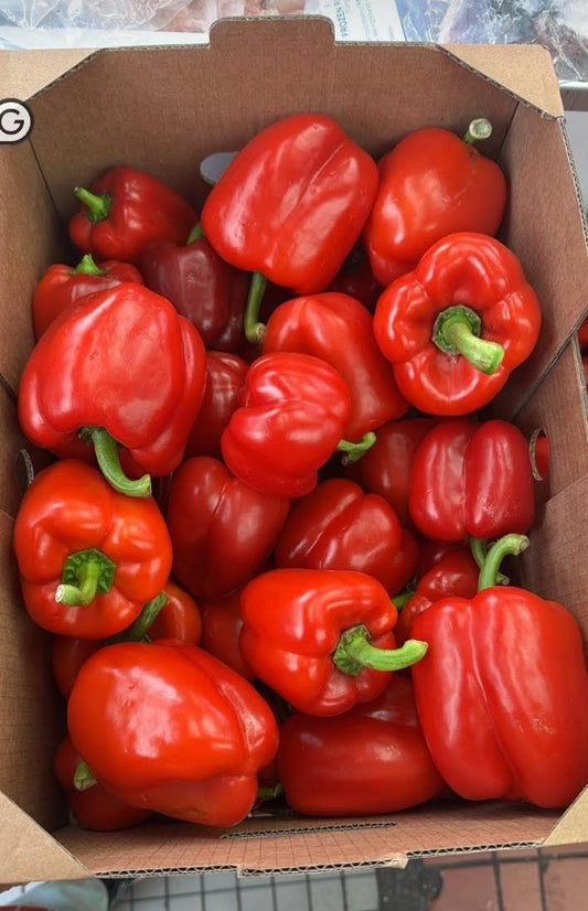 Fresh Red bell pepper