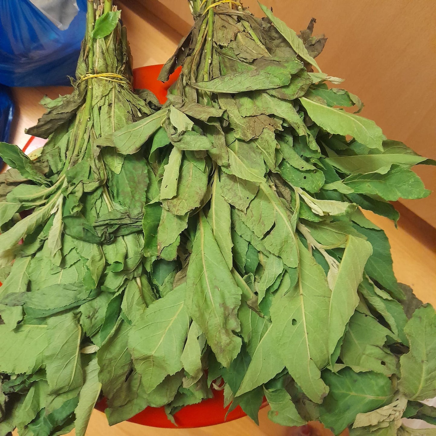 Fresh Bitter  Leaf