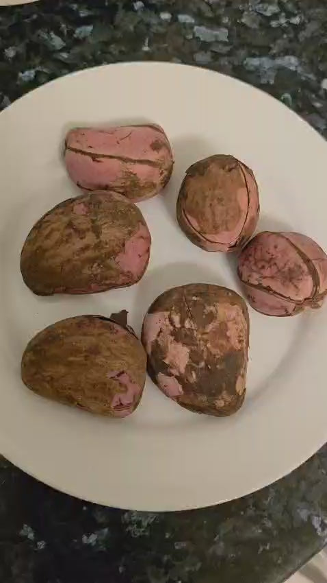 kolanut